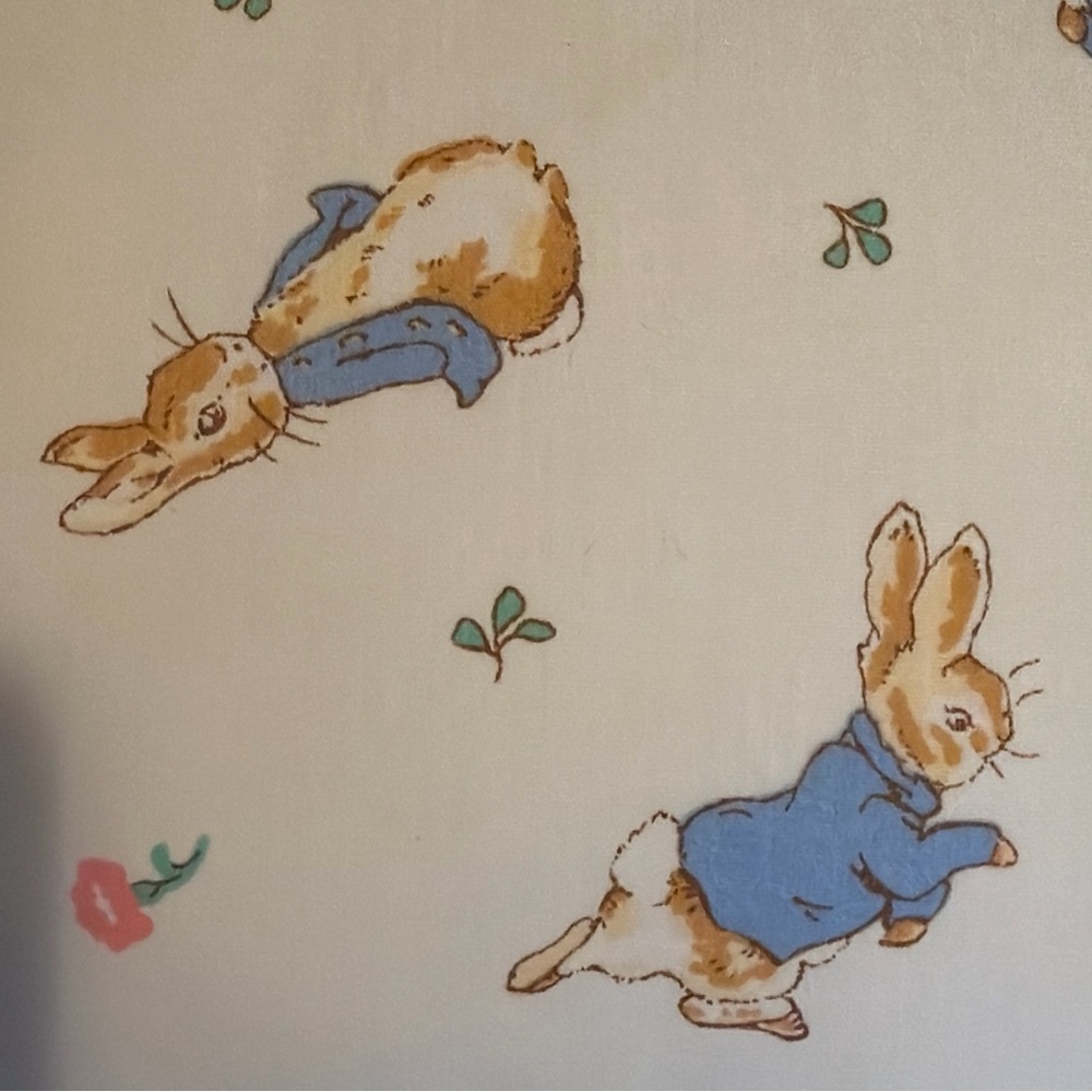 Peter Rabbit Decorative Pillow - Picture 5 of 9